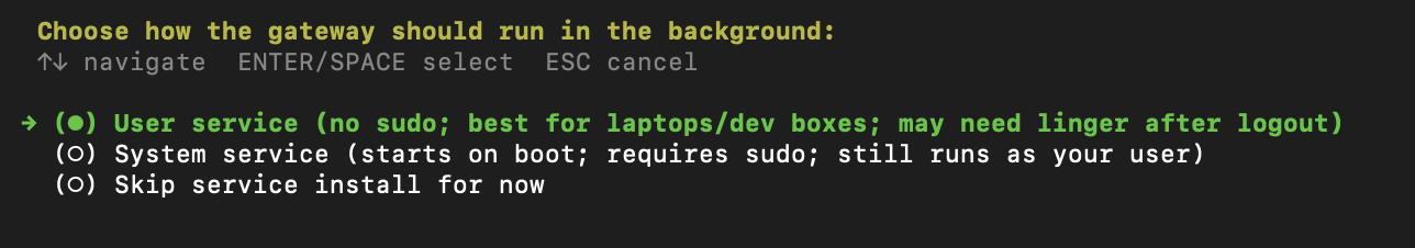 Choose how the gateway should run in the background