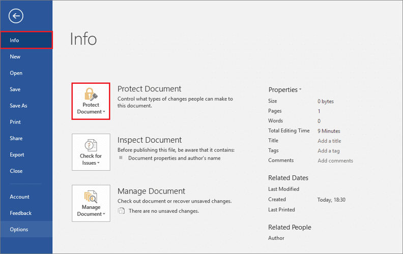 Protecting Microsoft Word Documents