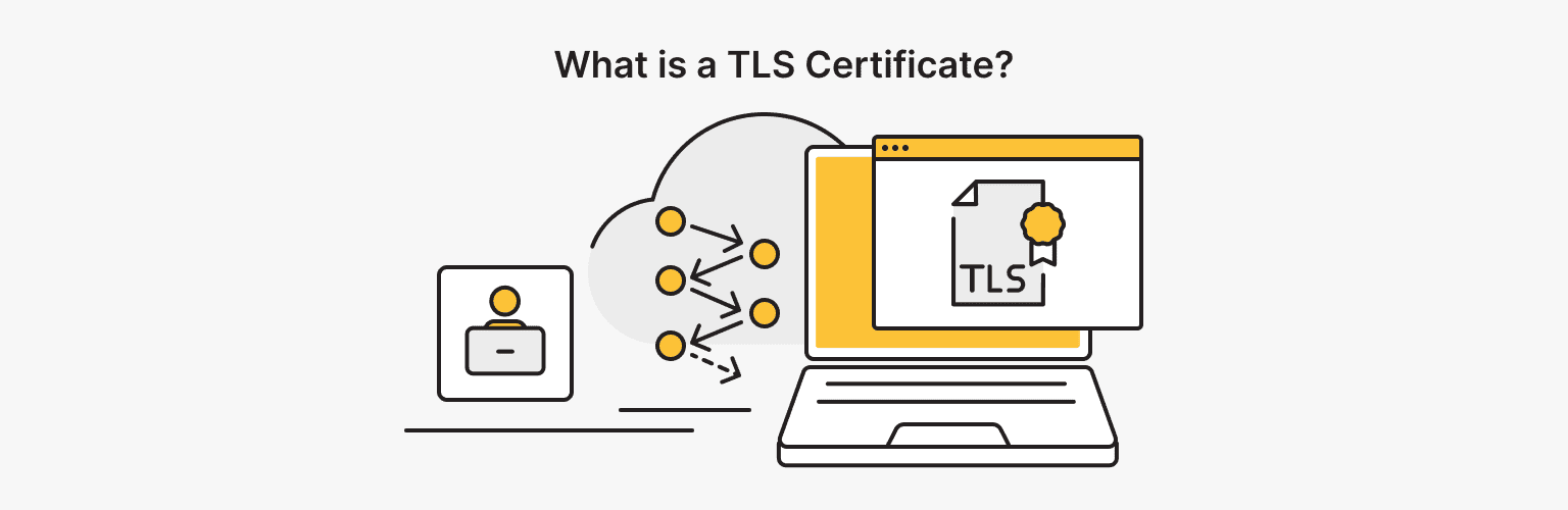 What is a TLS Certificate?