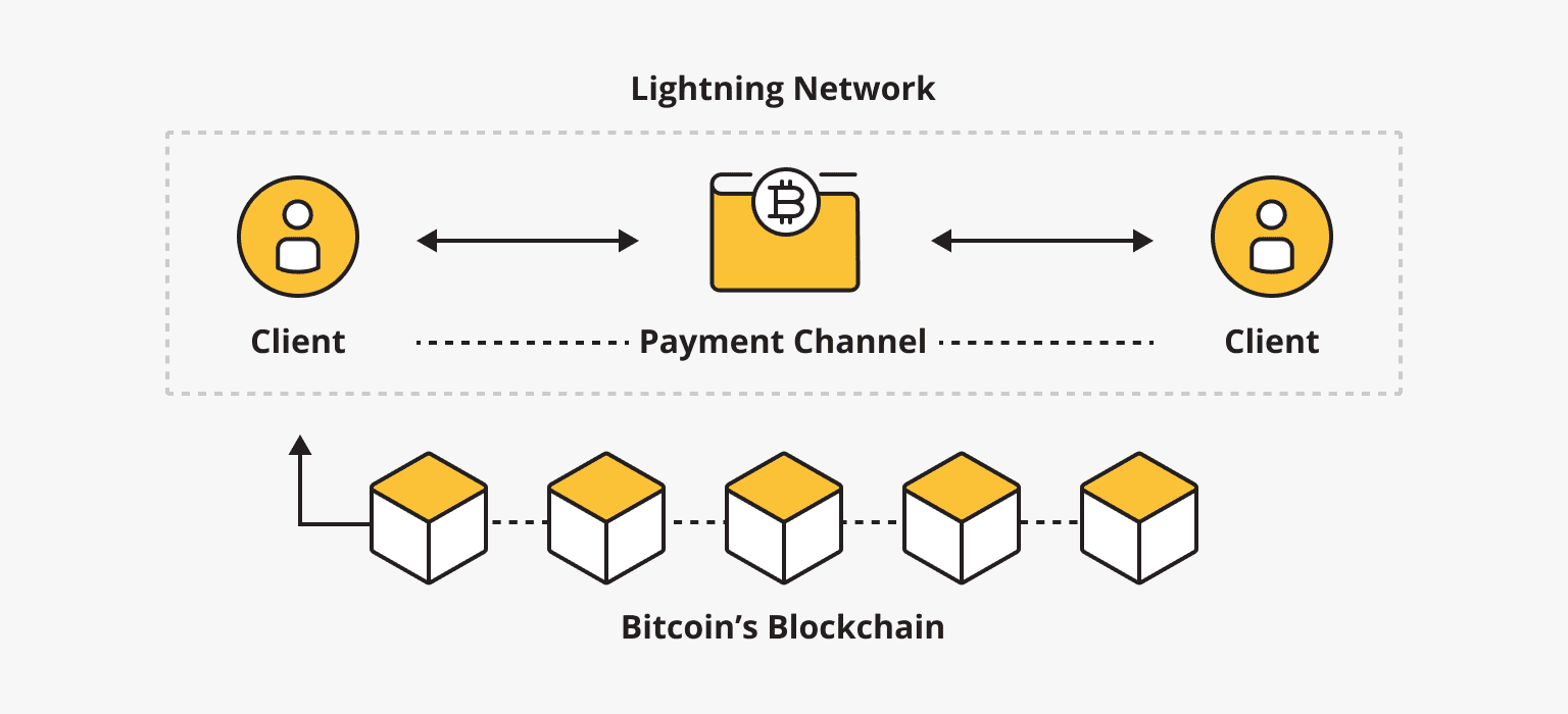 How Does the Lightning Network Work?
