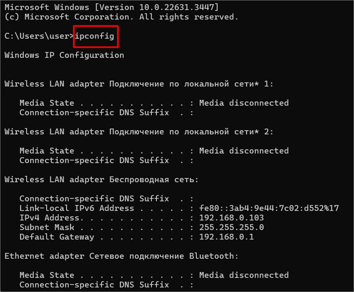 Ipconfig/Ifconfig