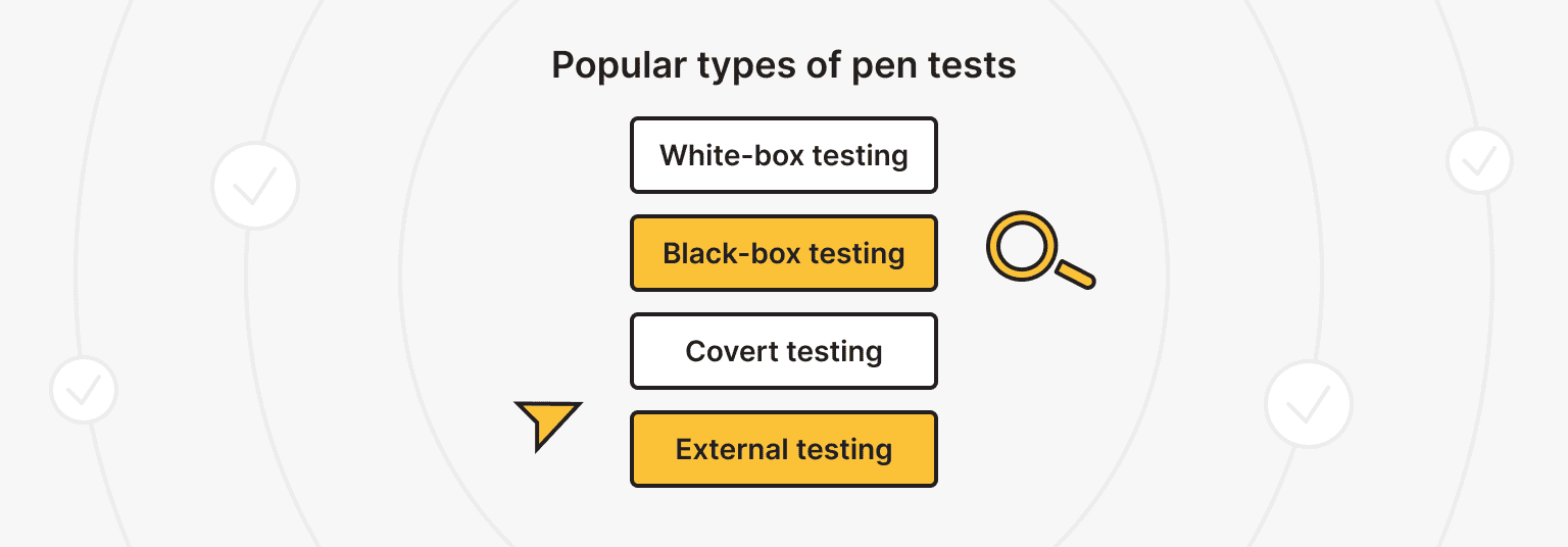 What are the Types of Penetration Testing?