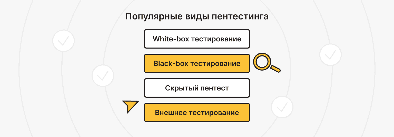 Какие есть виды тестирования на проникновение?