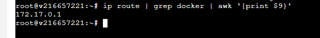 Docker bridge gateway IP output — 172.17.0.1