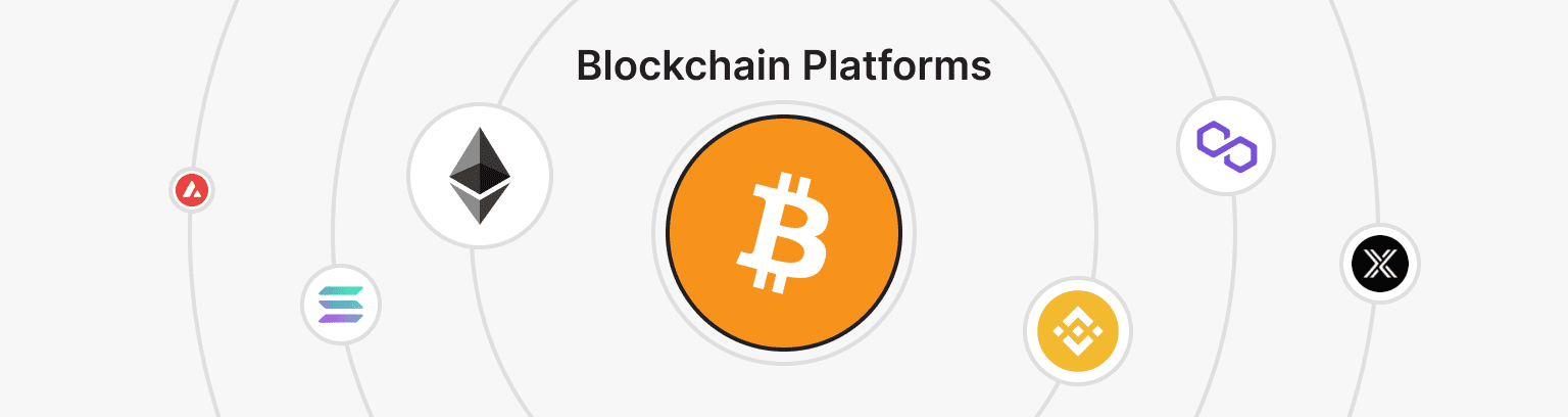 Popular Blockchain Platforms