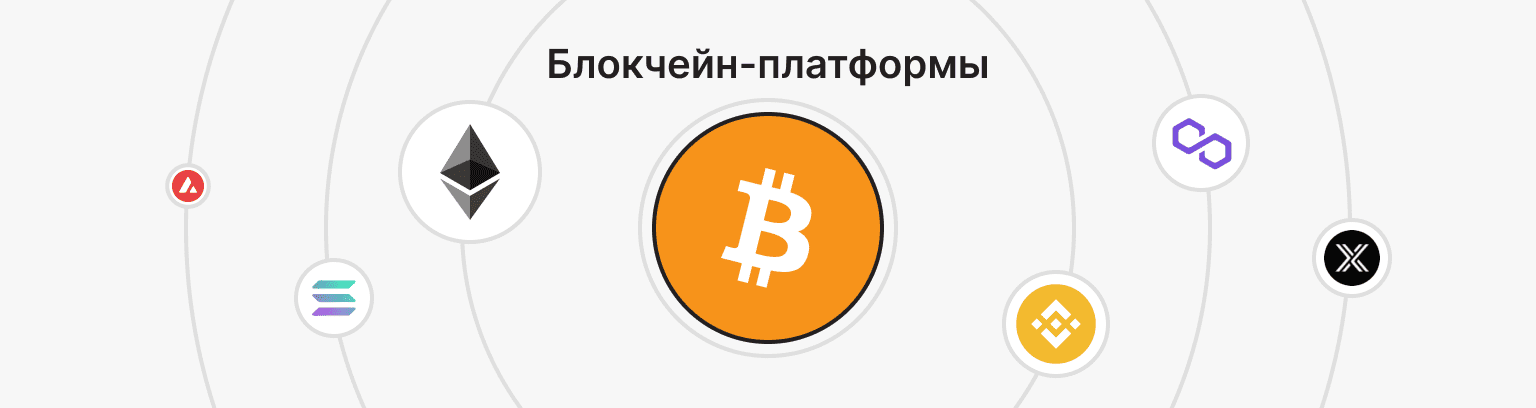 Популярные блокчейн-платформы