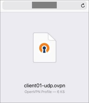 OpenVPN on iOS