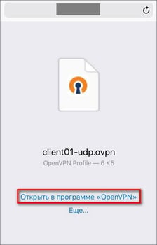 OpenVPN на iOS