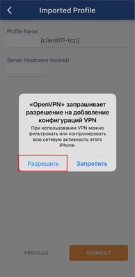 OpenVPN на iOS